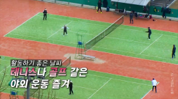 연합뉴스_테니스 엘보